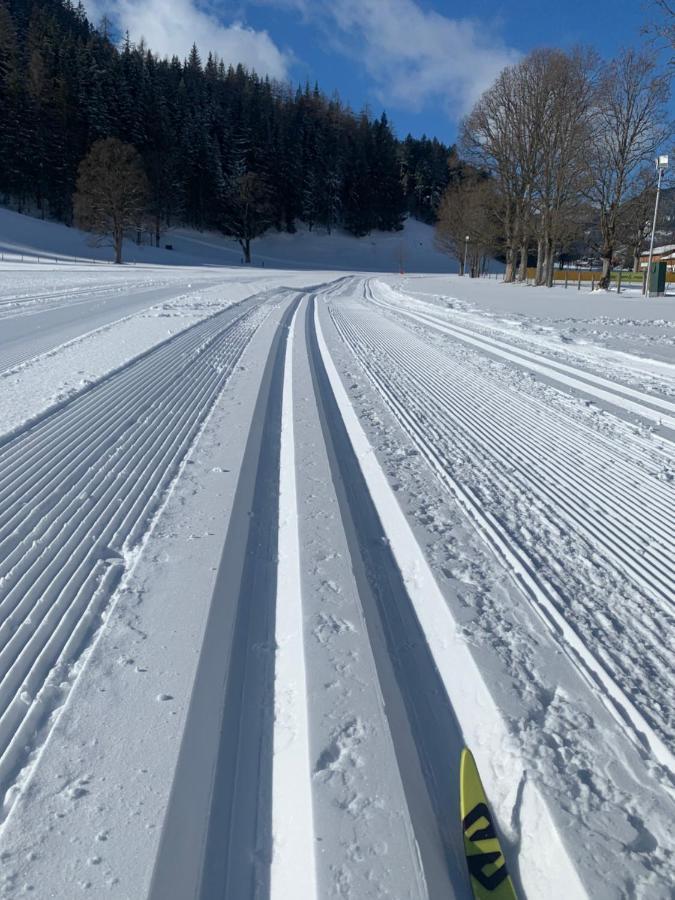 Haus Anna Daire Ramsau am Dachstein Dış mekan fotoğraf