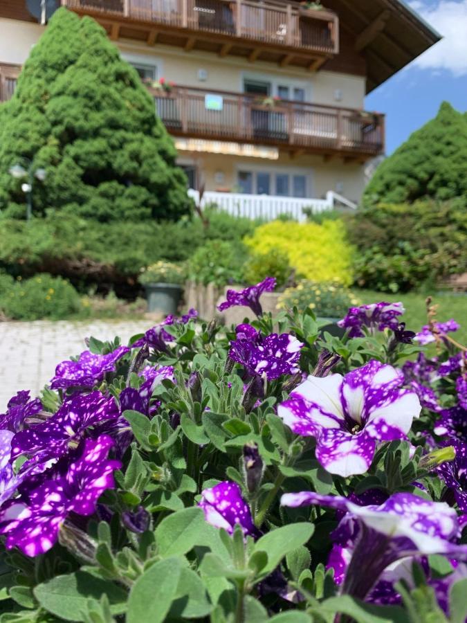 Haus Anna Daire Ramsau am Dachstein Dış mekan fotoğraf